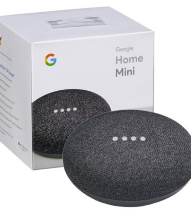 Smart Nest Google Home Mini